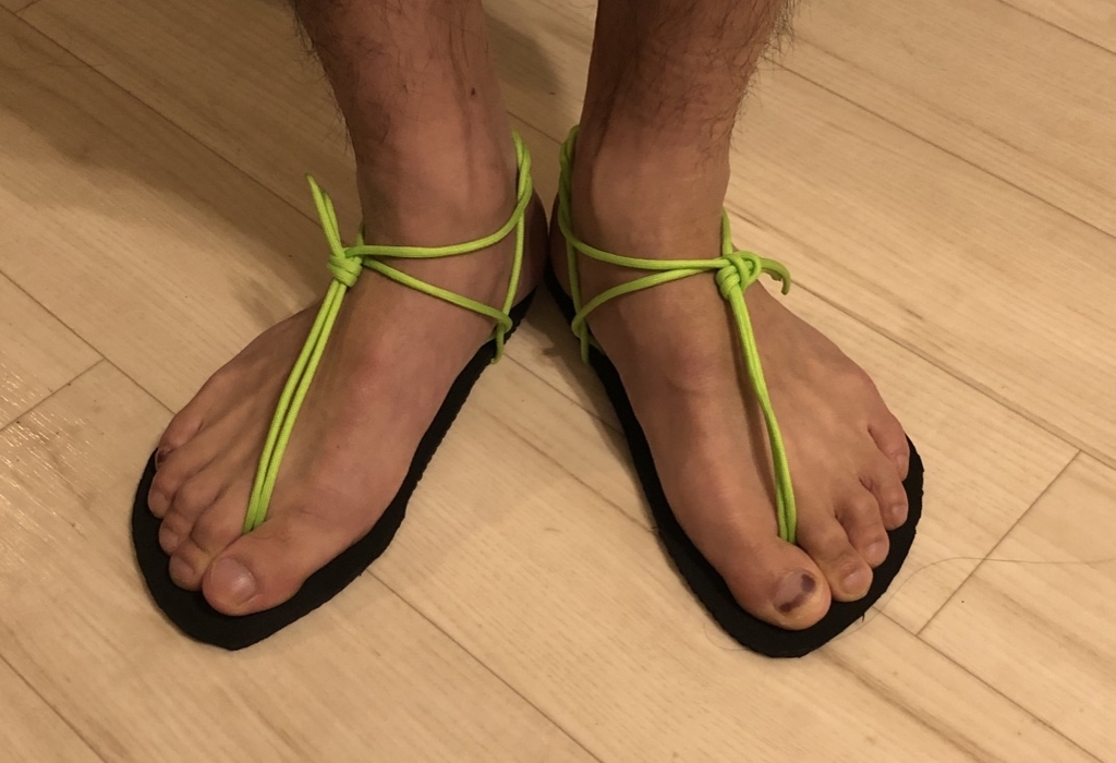 f:id:hashiri_man:20190202010622j:plain