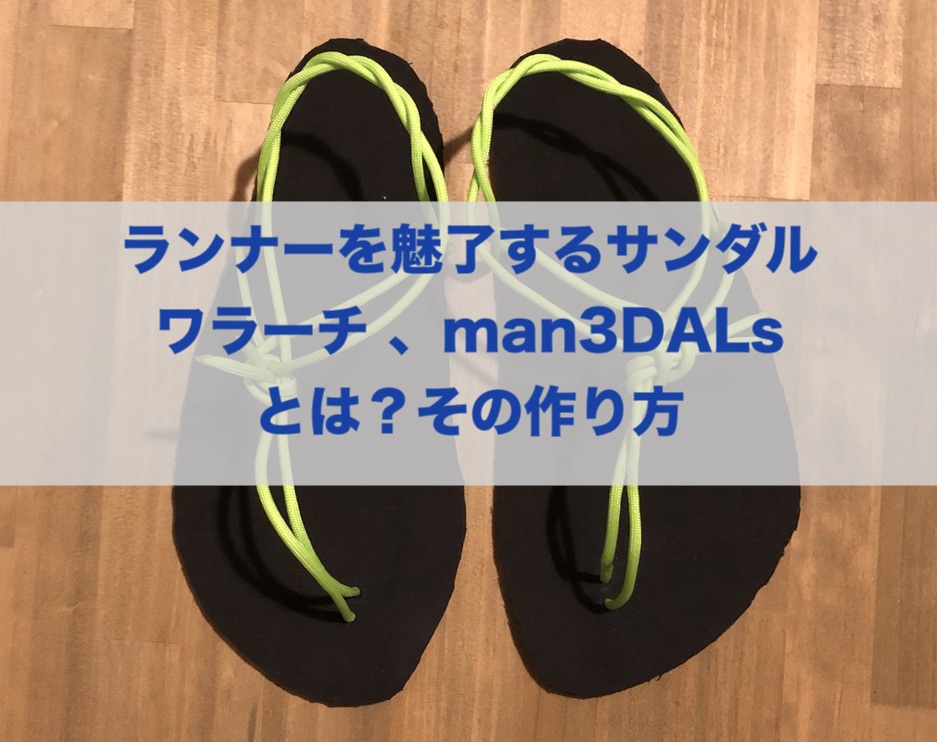 f:id:hashiri_man:20190202012525j:plain