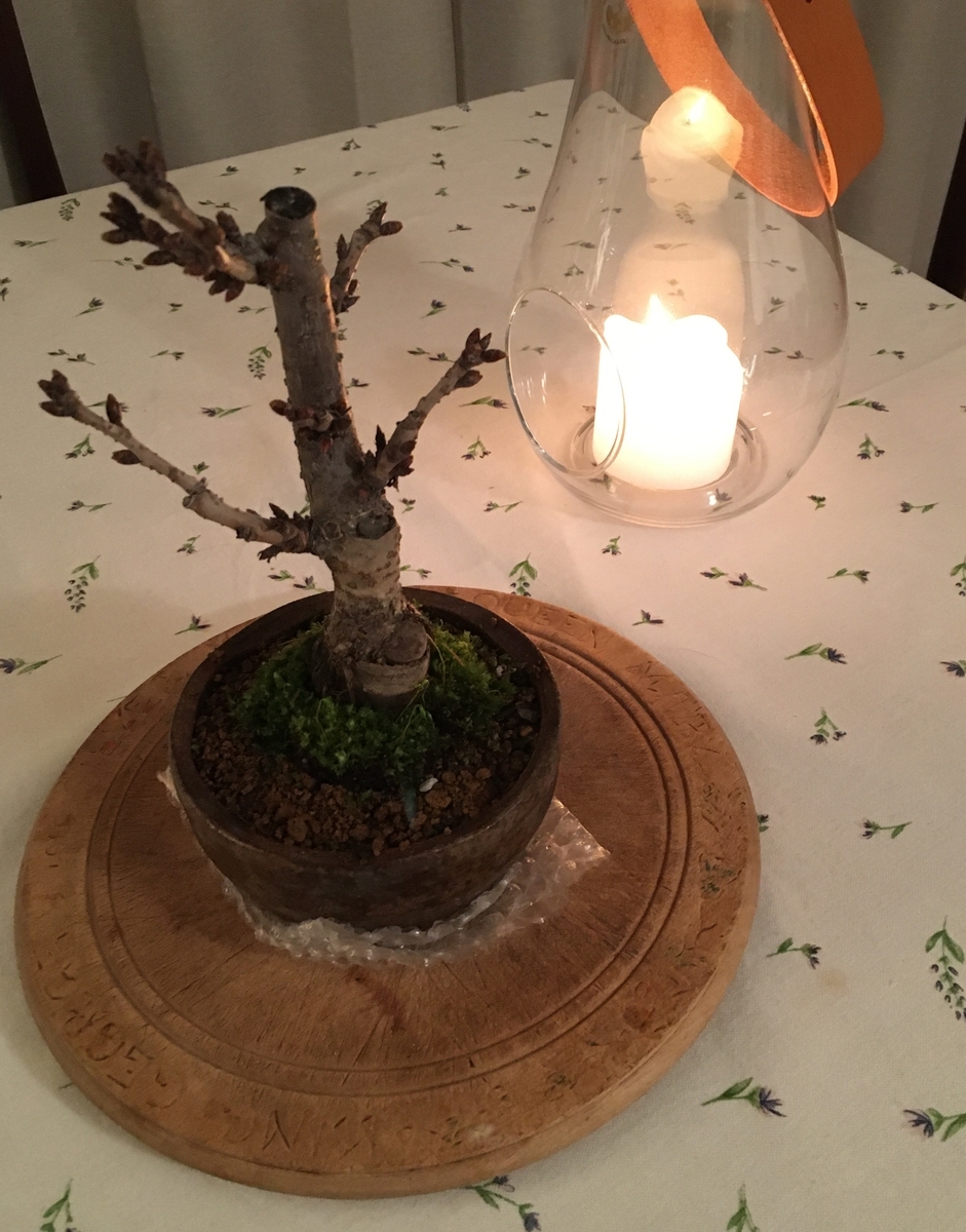 f:id:hashirunodaisuki:20200223135754j:plain f:id:hashirunodaisuki:20200223135754j:plain