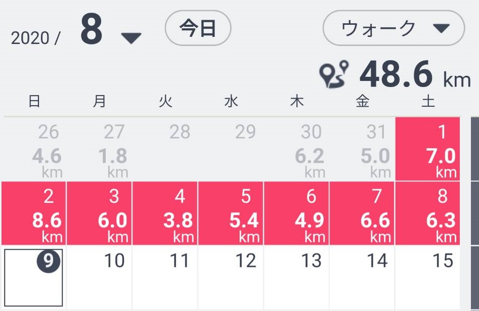 f:id:hashirunodaisuki:20200809095222j:plain f:id:hashirunodaisuki:20200809095222j:plain