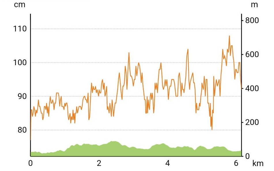 f:id:hashirunodaisuki:20200912100915j:plain f:id:hashirunodaisuki:20200912100915j:plain