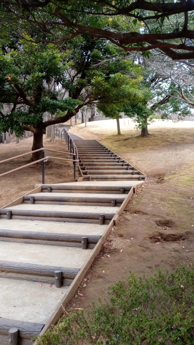 f:id:hashirunodaisuki:20210307160830j:plain