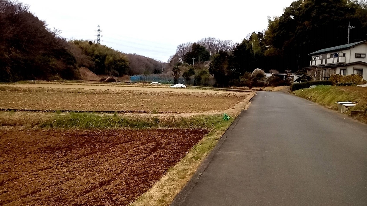 f:id:hashirunodaisuki:20210307161054j:plain