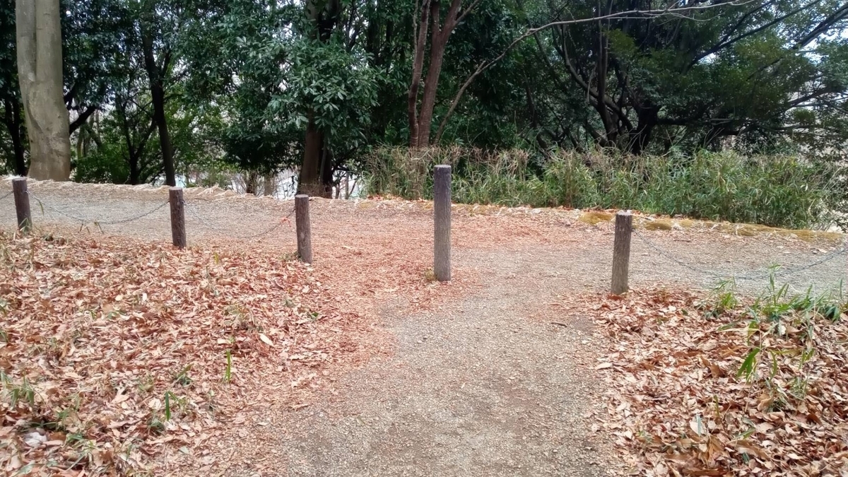 f:id:hashirunodaisuki:20210307161603j:plain