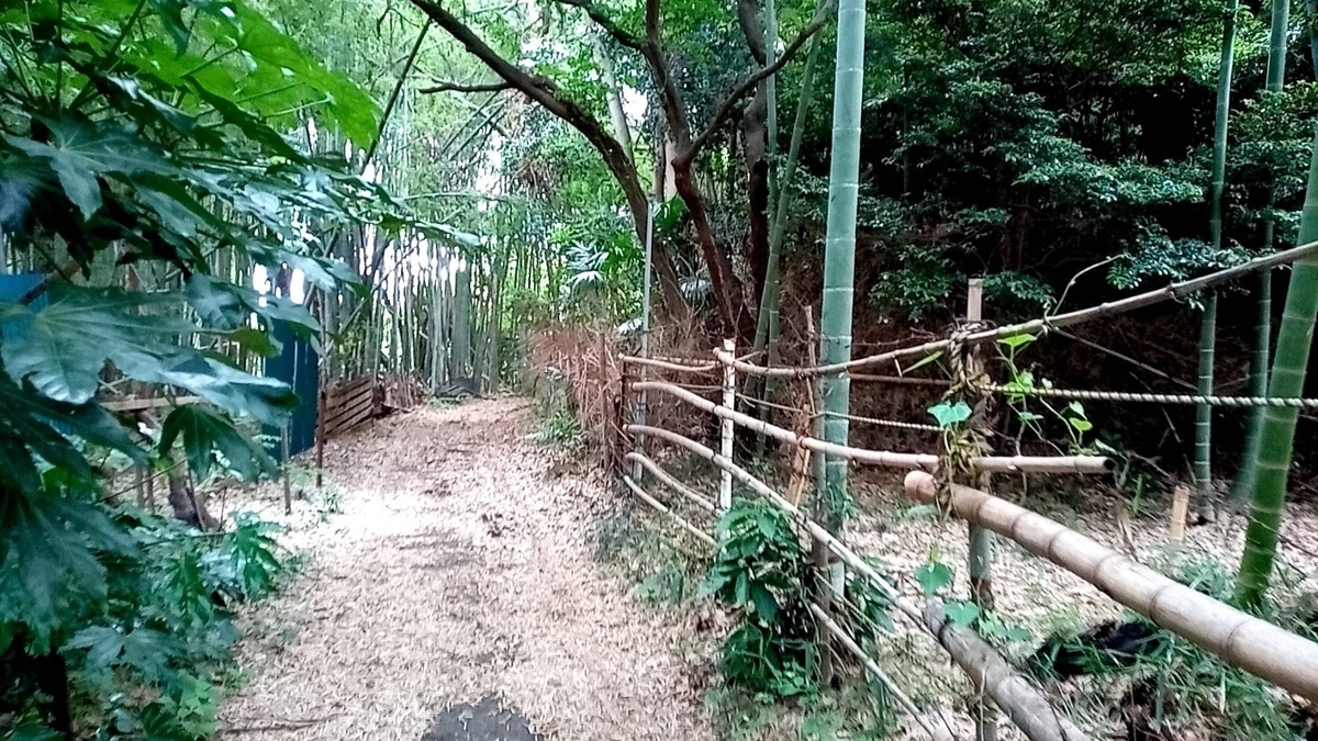 f:id:hashirunodaisuki:20210529143811j:plain