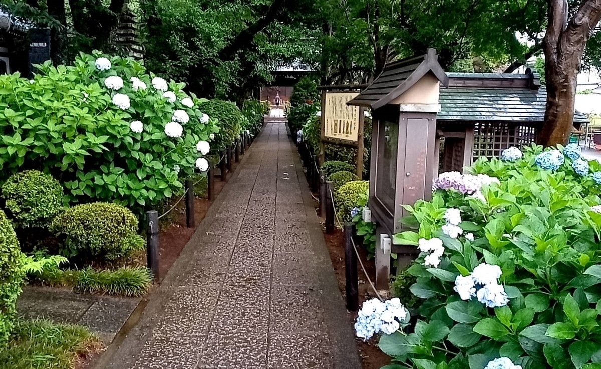 f:id:hashirunodaisuki:20210620134538j:plain