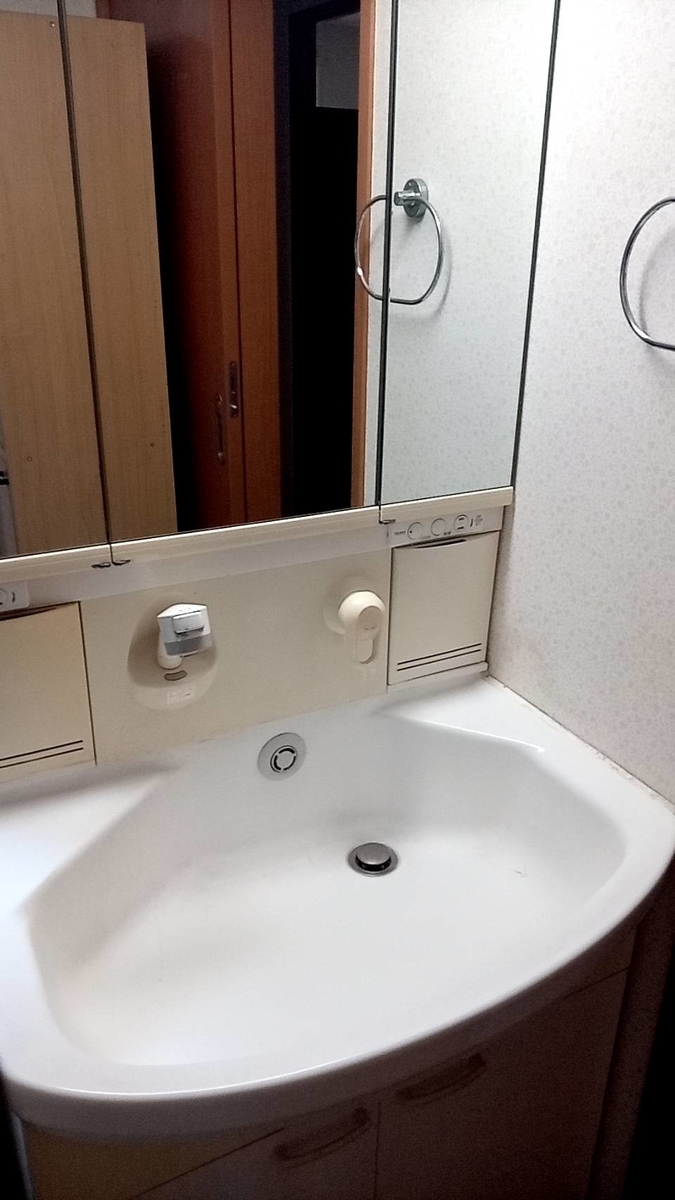 f:id:hashirunodaisuki:20210826134921j:plain