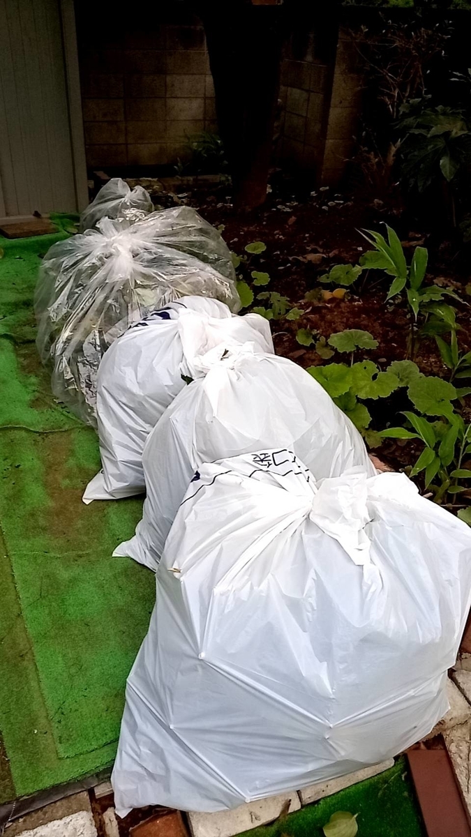 f:id:hashirunodaisuki:20210911213431j:plain