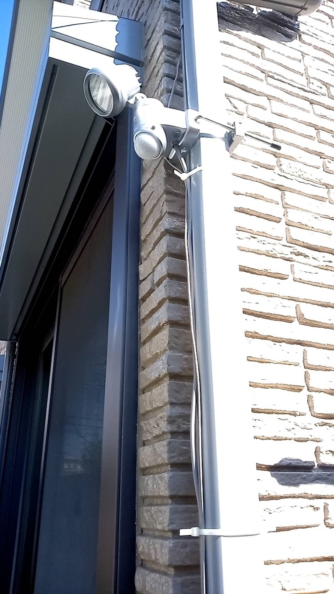 f:id:hashirunodaisuki:20211030220944j:plain