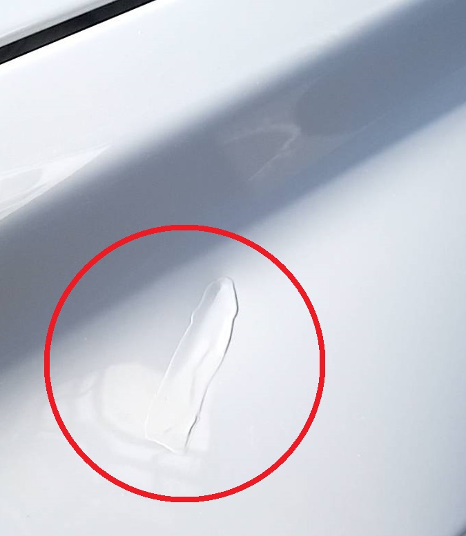 f:id:hashirunodaisuki:20211030222337j:plain