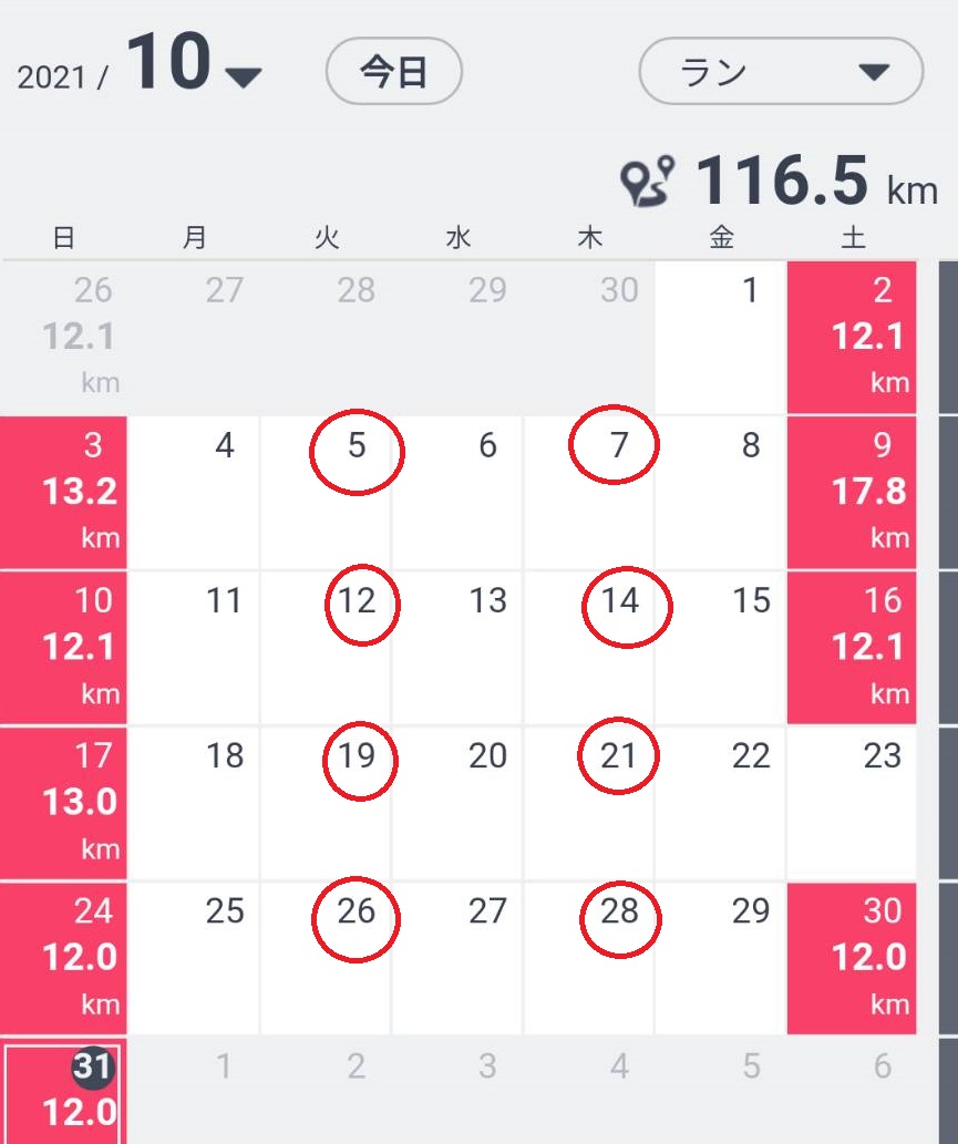 f:id:hashirunodaisuki:20211031134004j:plain