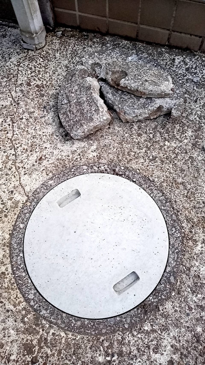 f:id:hashirunodaisuki:20220326190142j:plain