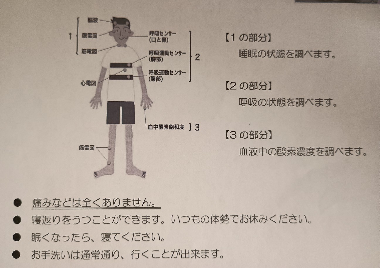 f:id:hashirunodaisuki:20260918164718j:image