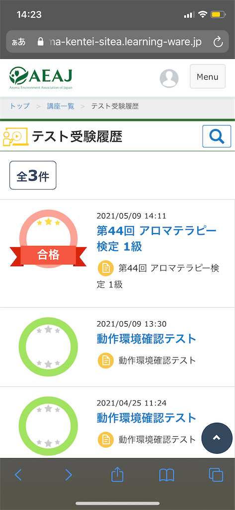 f:id:hasmine:20210509223043p:image