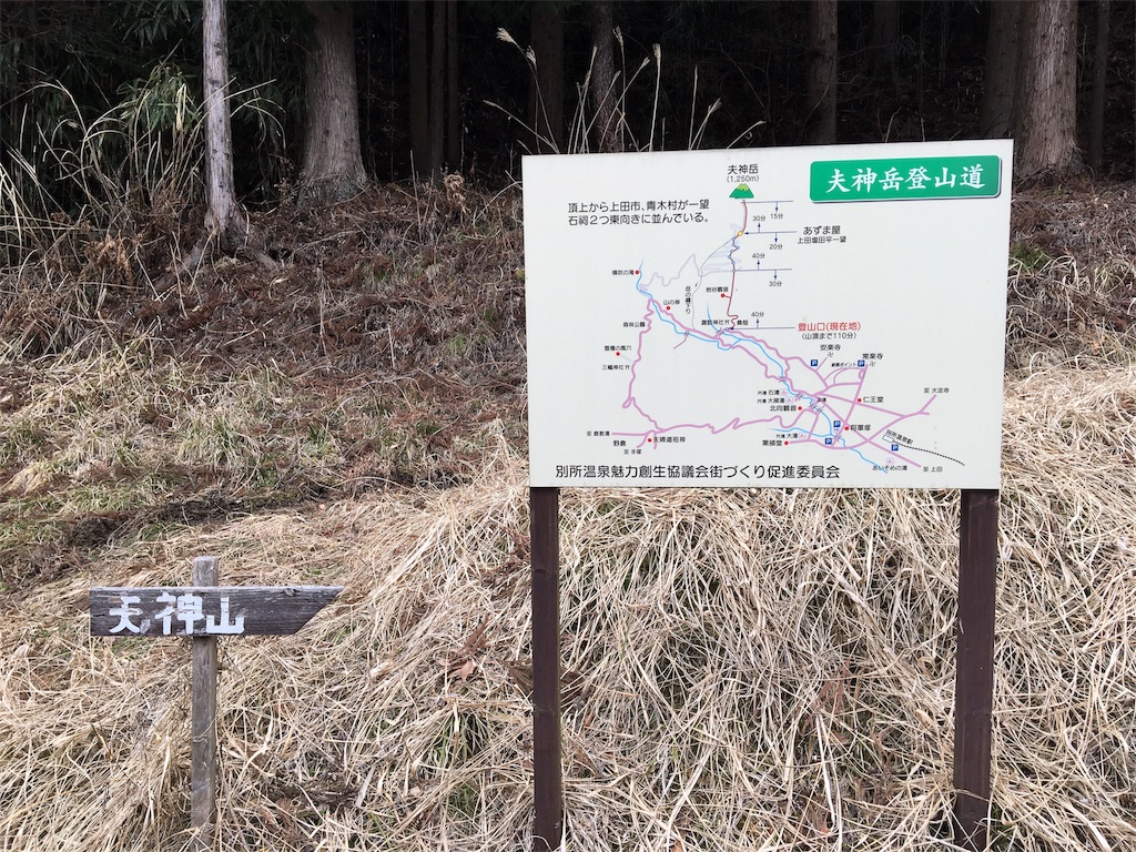 f:id:hasray:20170308131050j:image