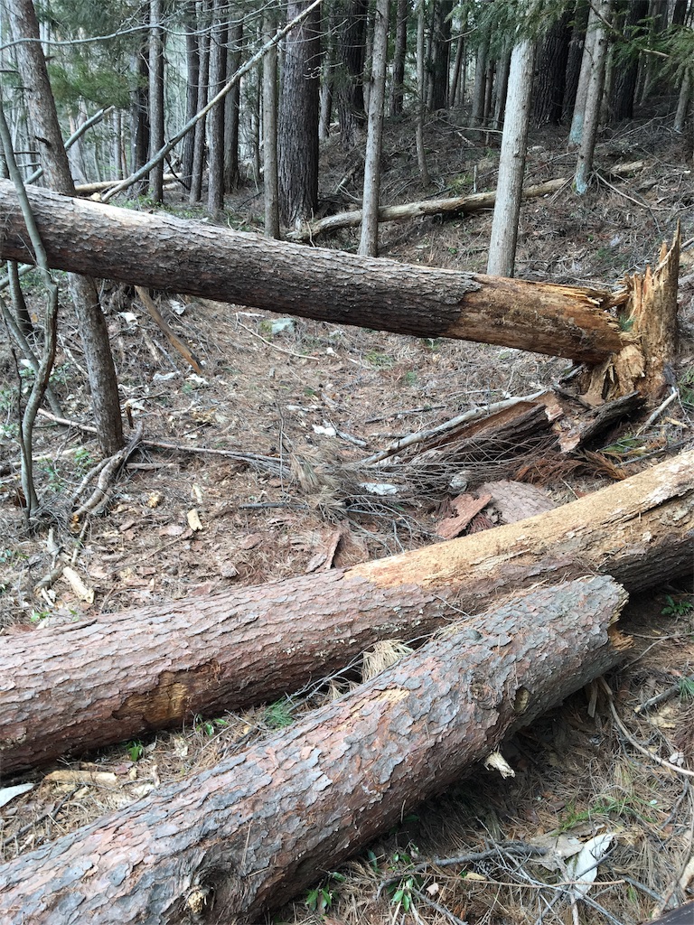 f:id:hasray:20170308131201j:image