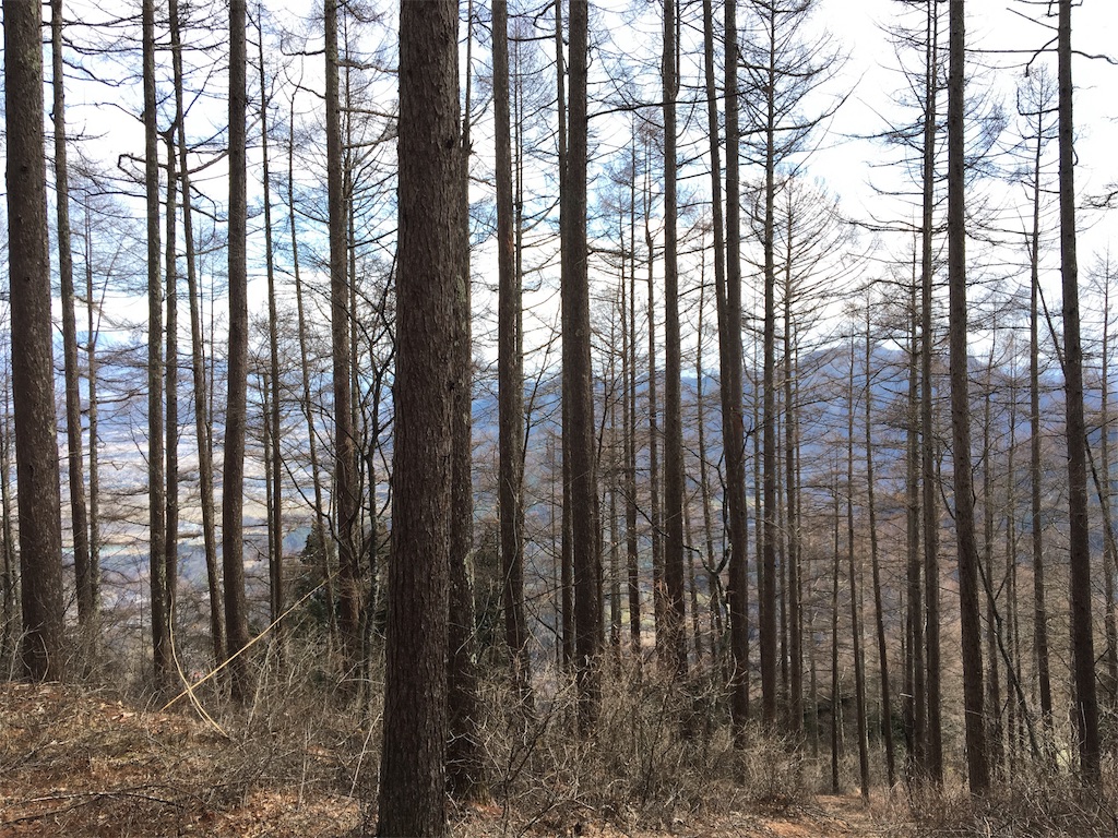 f:id:hasray:20170308131652j:image