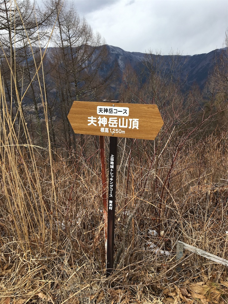 f:id:hasray:20170308131713j:image