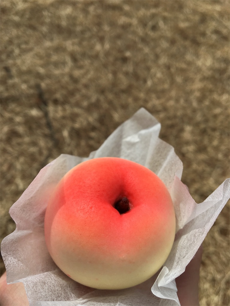 f:id:hasray:20170308131818j:image