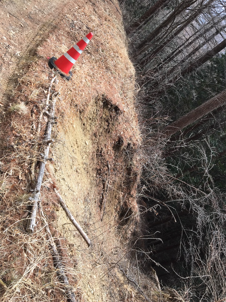 f:id:hasray:20170308131914j:image