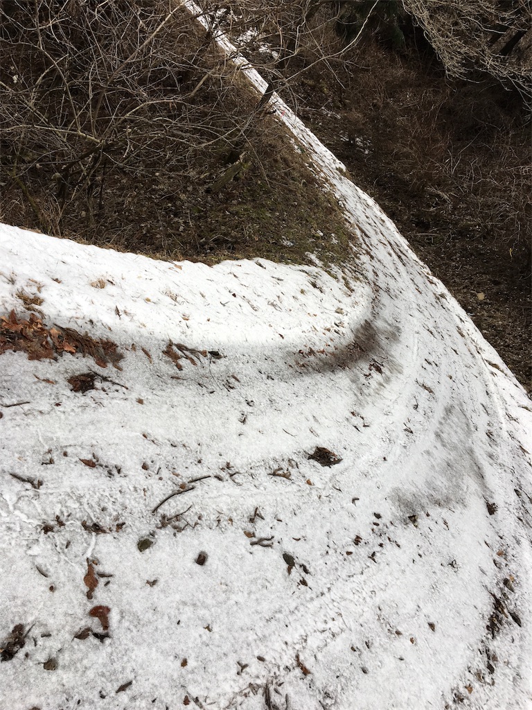 f:id:hasray:20170308132036j:image