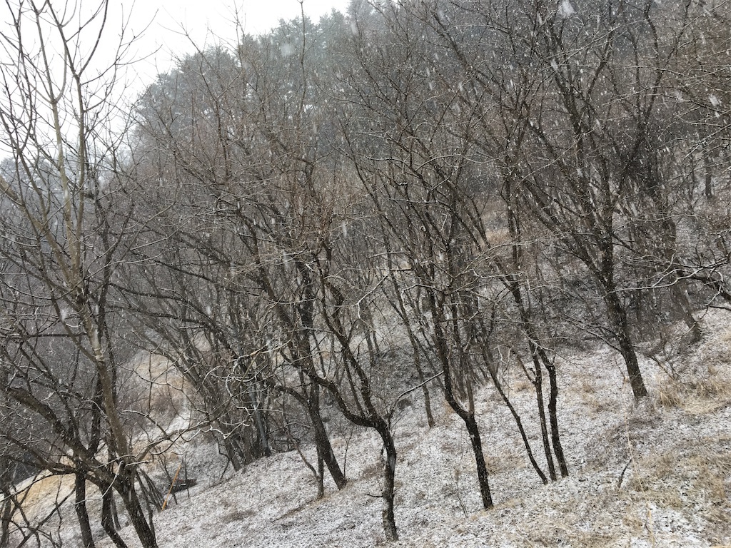 f:id:hasray:20170308132132j:image