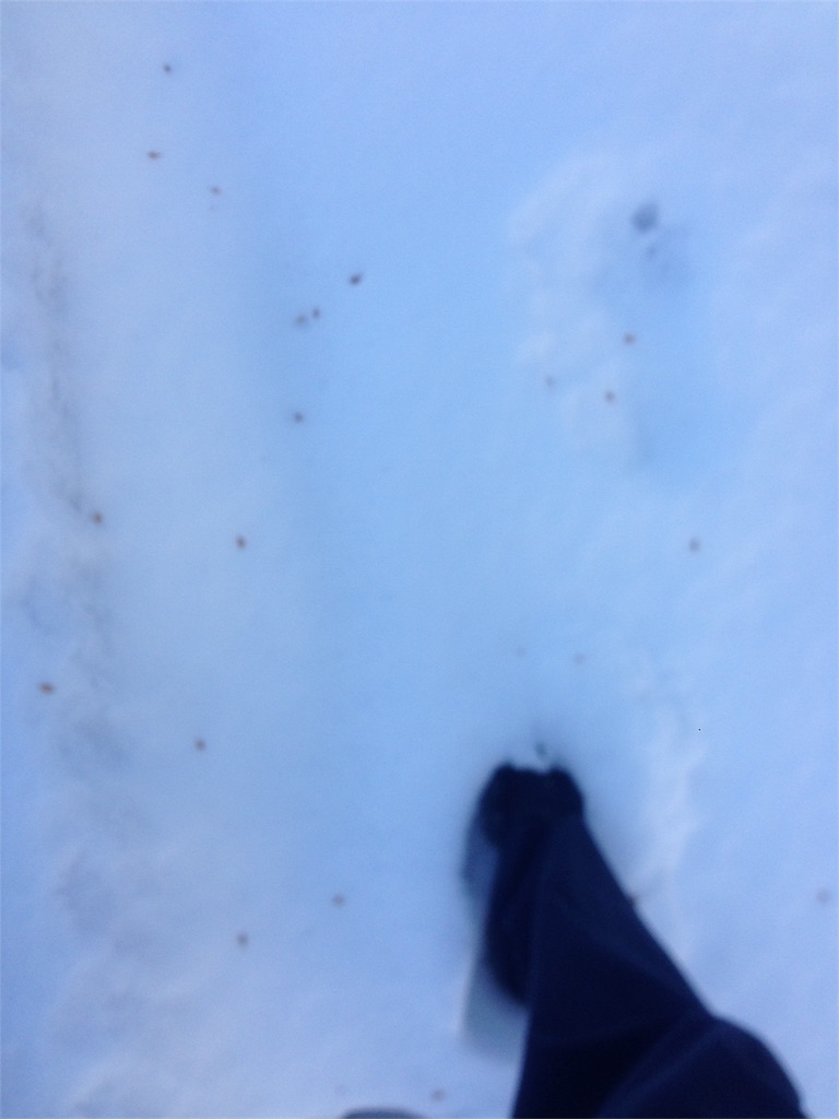 f:id:hasray:20180301145840j:image f:id:hasray:20180301145840j:image