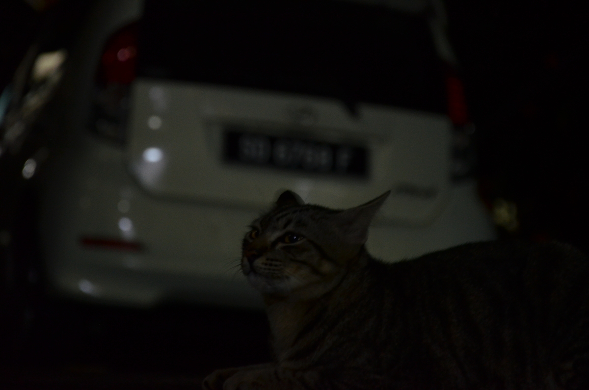 f:id:hasriq:20200210231531j:plain