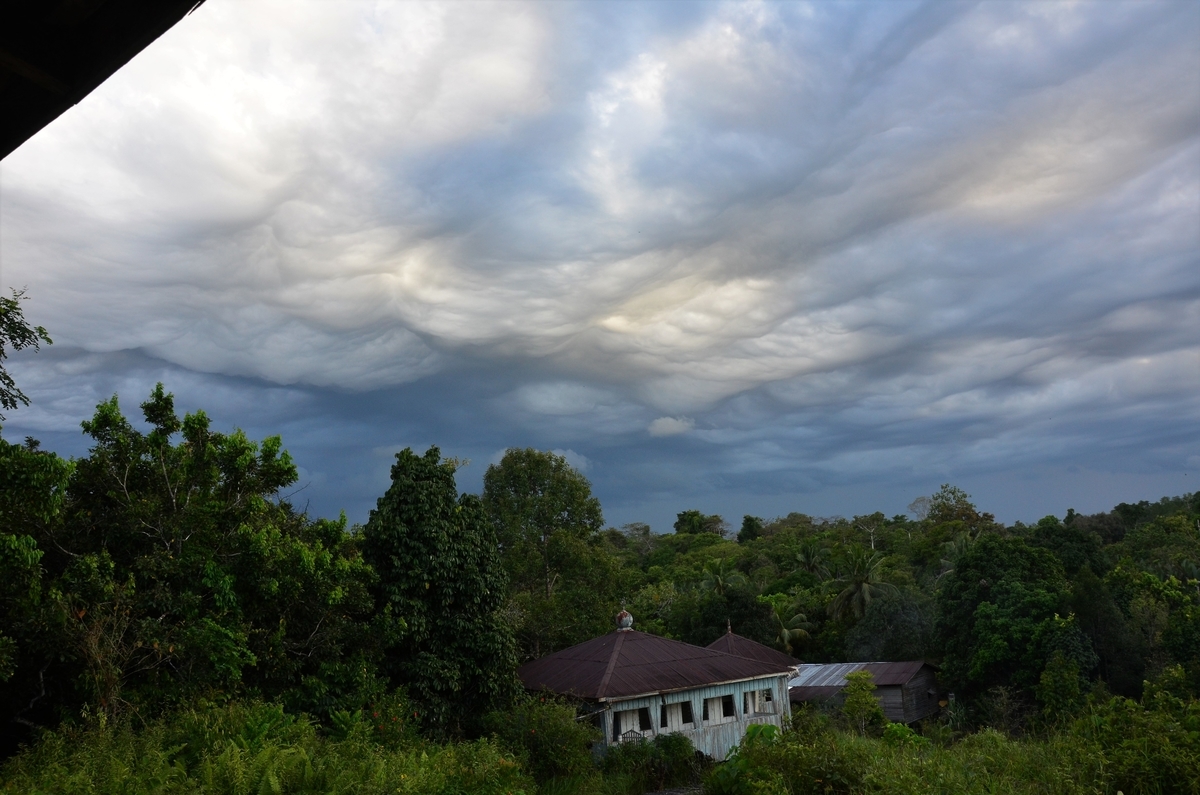 f:id:hasriq:20210425092449j:plain