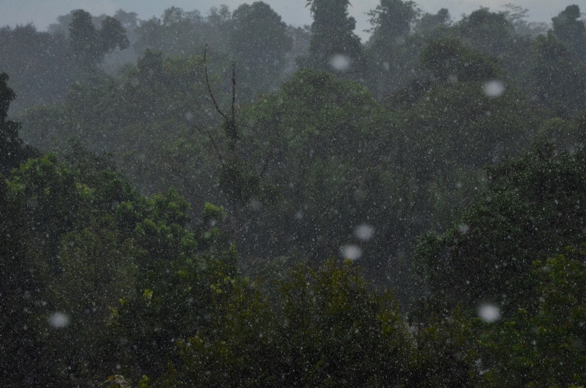 f:id:hasriq:20210425100205j:plain