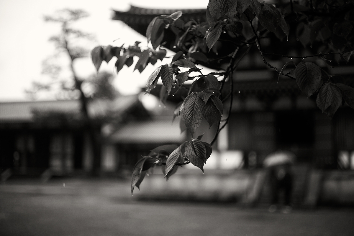 f:id:hasselblaphoto19:20210429132341j:plain