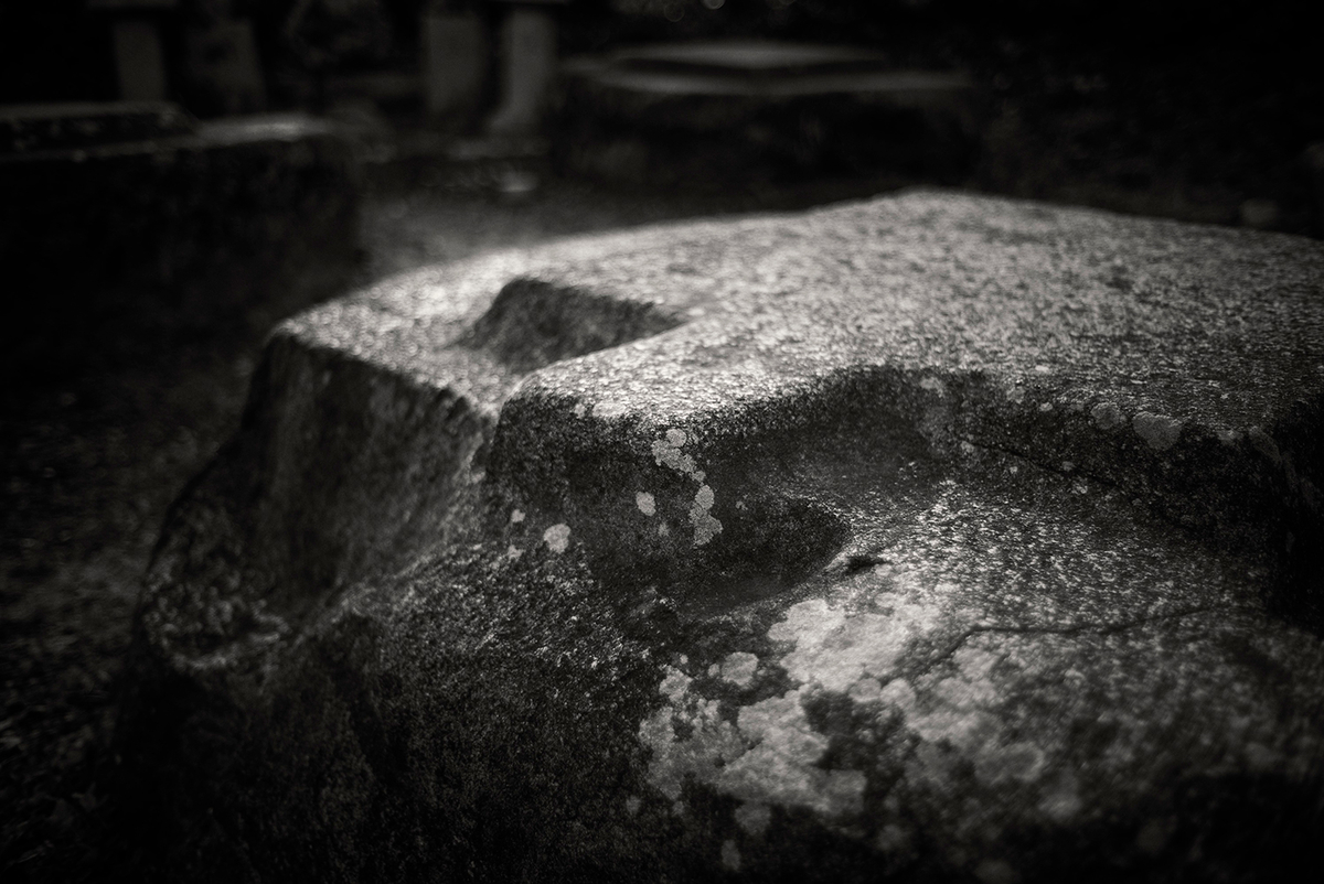 f:id:hasselblaphoto19:20220129194308j:plain