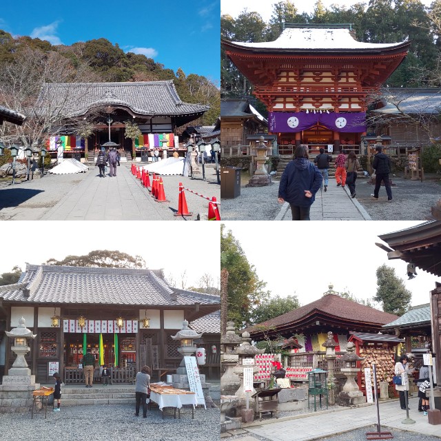 f:id:hassycsn:20190105224500j:image