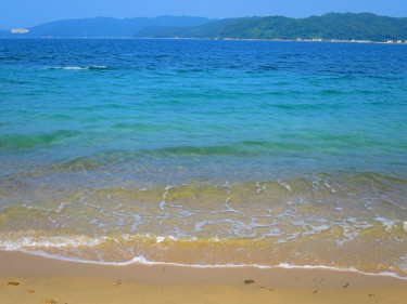 f:id:hasunoyo11111:20190506183009j:plain f:id:hasunoyo11111:20190506183009j:plain