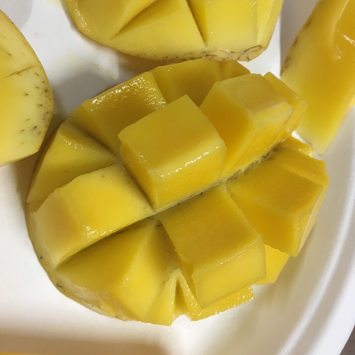 f:id:hat_in_taiwan:20190912231745j:plain