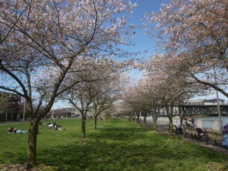 f:id:hata186c:20120407143000j:image