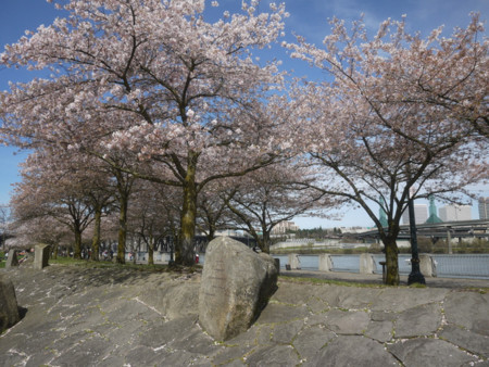 f:id:hata186c:20120407143114j:image