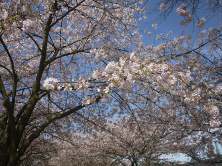 f:id:hata186c:20120407143213j:image