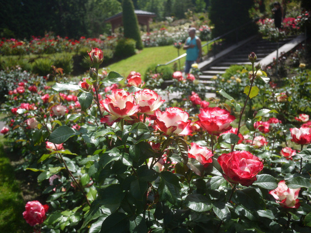 f:id:hata186c:20120616145355j:image