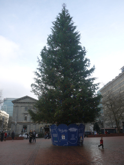 f:id:hata186c:20121224133546j:image
