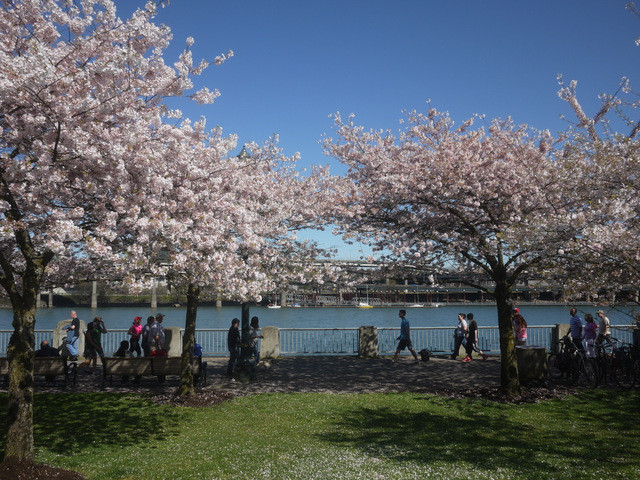 f:id:hata186c:20130330152406j:image