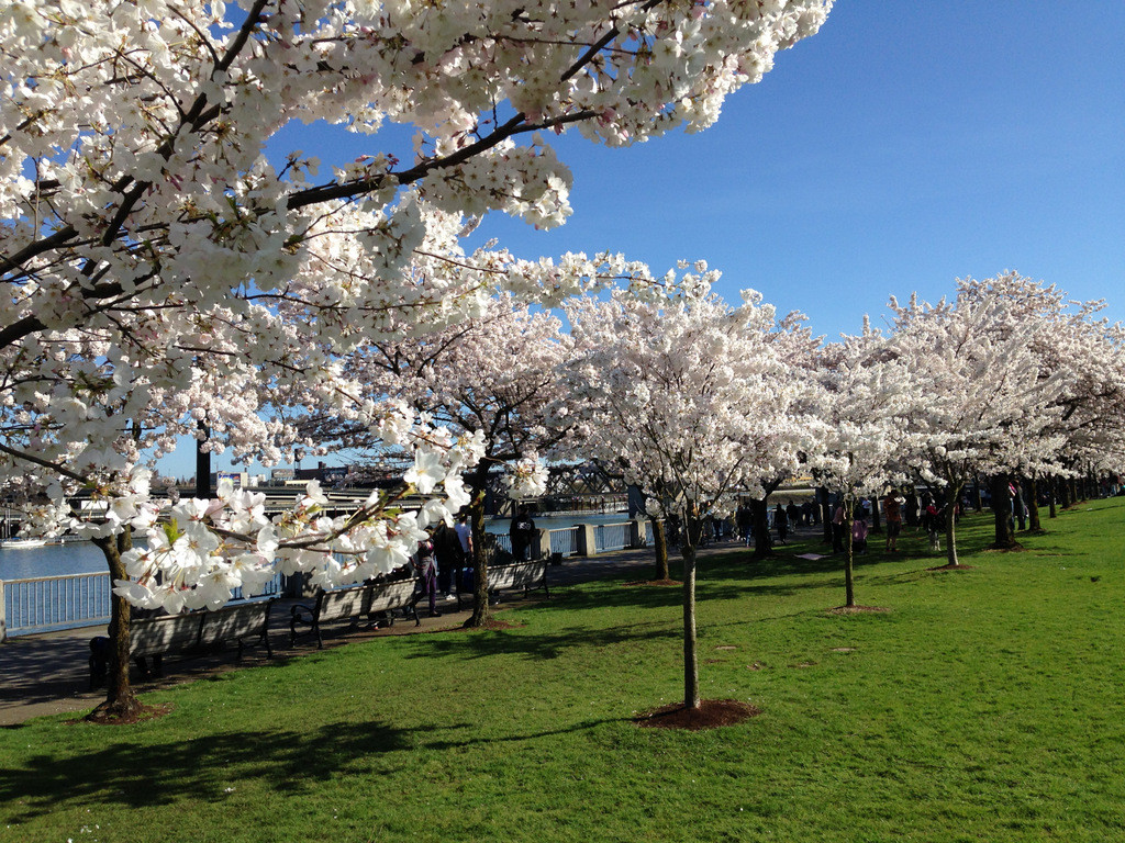f:id:hata186c:20140322160148j:image