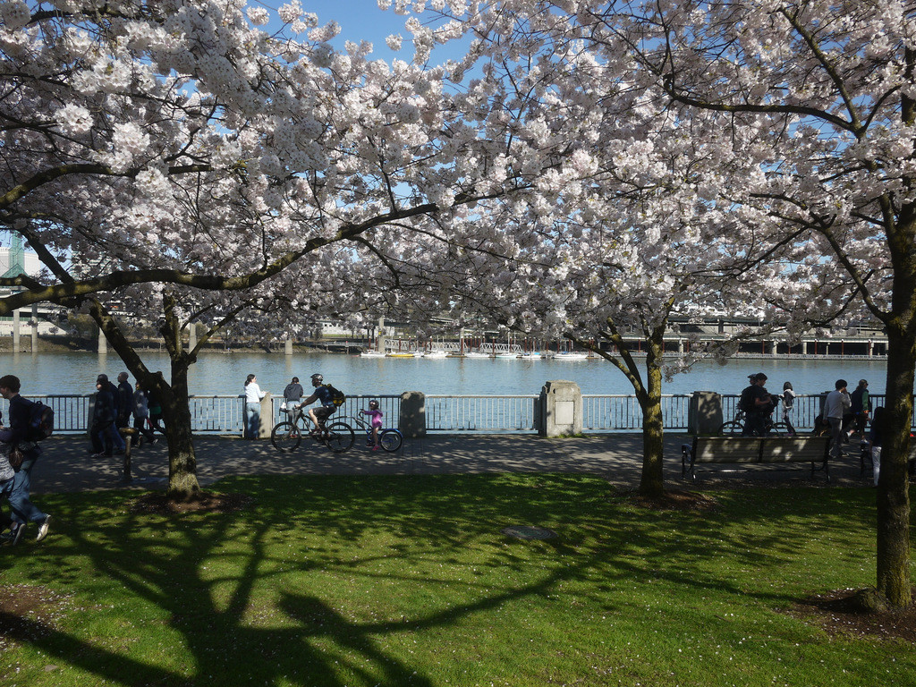 f:id:hata186c:20140322162156j:image