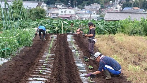 21231122_1289198687873694_4680871929735917514_n