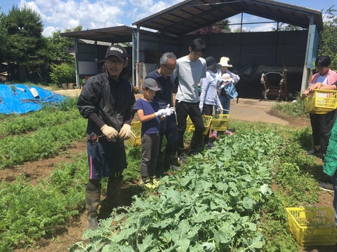 18882233_1457777517632663_447489719220722328_n