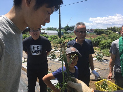 18813877_1457777750965973_5413434775343908205_n