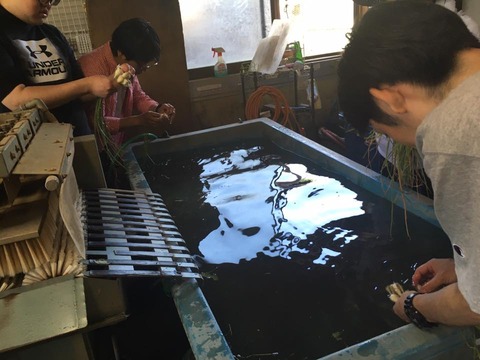 18920278_1457777794299302_8564685969765341552_n