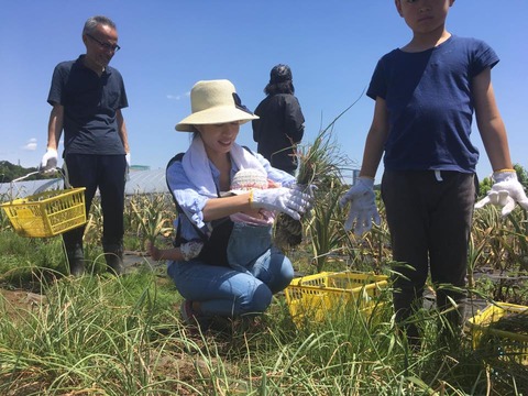 18835861_1457777400966008_2013428720973550554_n