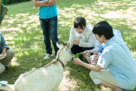 hatacon_30