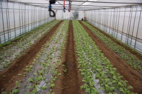 22491564_1580795788664168_61708799026506725_n